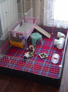 two small dogs are sitting in their caged kennels, eating food and drinking water