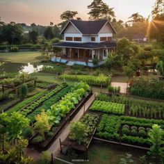 an aerial view of a house with many plants in the front yard and trees on the other side