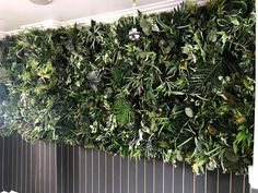 a living wall with green plants on it