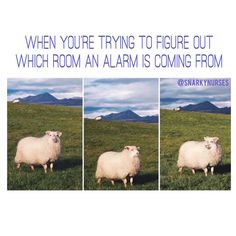 three pictures of sheep in a field with mountains in the back ground and clouds in the sky