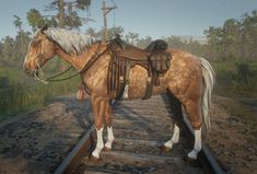 a horse that is standing on some train tracks