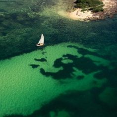 an aerial view of a sailboat in the water with green algae on the bottom