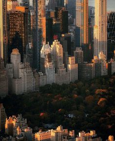 an aerial view of new york city with skyscrapers in the foreground and trees on the other side