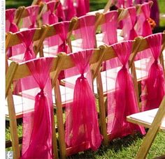 rows of wooden chairs with pink chiffon sashes