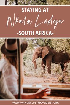 an elephant standing in the middle of a forest with text saying staying at ndala lodge south africa