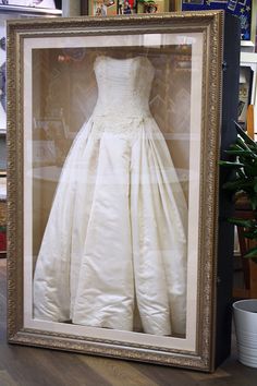 a wedding dress is displayed in a glass case on the floor next to a potted plant