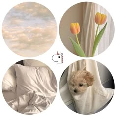 four different pictures with flowers and clouds in the background