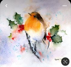 a watercolor painting of a bird on a branch with holly