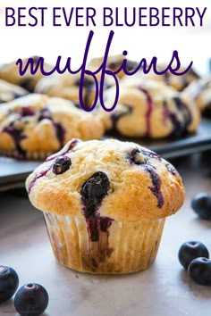 blueberry muffins with text overlay reading best ever blueberry muffins