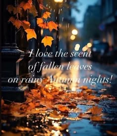 an autumn scene with leaves on the ground and a street light in the background that says, i love the scent of fallen leaves on rainy autumn nights