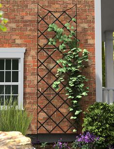 a brick building with a trellis on the side and plants growing out of it