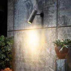 an outdoor wall light next to a potted plant