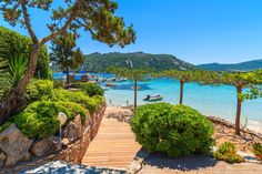 the stairs lead up to the beach with boats in the water and trees on either side