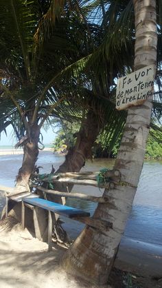 a bench under a palm tree next to the ocean with a surfboard on it