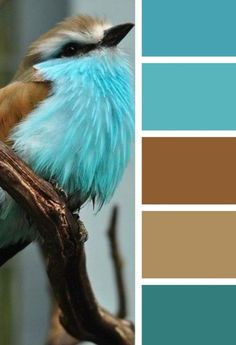 a bird with blue feathers sits on a branch in front of some color swatches