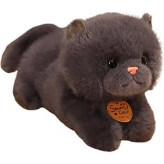 a gray stuffed animal with a tag on it's ear and nose is laying down