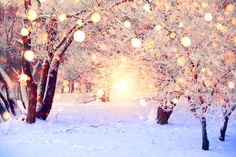 the sun shines brightly through the trees on a snowy day with snow flakes