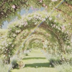 an image of a garden with flowers and rainbows in the sky over it's walkway