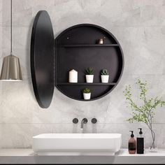 a white sink sitting under a mirror next to a wall mounted shelf with potted plants on it