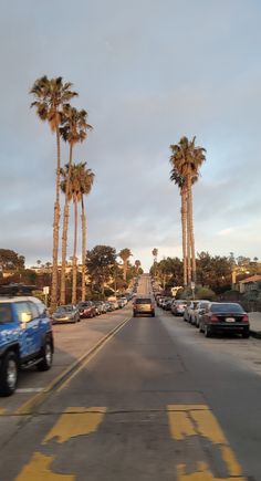 cars are driving down the street in front of palm trees