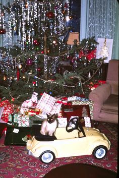 a cat sitting in a toy car next to a christmas tree with presents on it