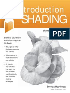 an image of the book cover for production shading