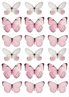 pink and white butterflies with different colors on the wings, all facing in different directions