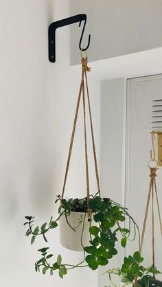 two potted plants hanging from hooks on the wall next to each other in a room