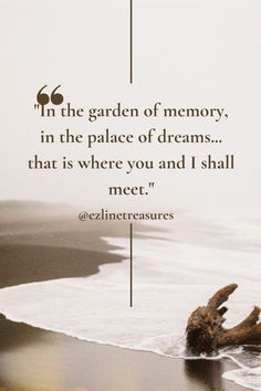 a quote about memory in the garden of memory, in the place of dreams that is where you and i shall meet