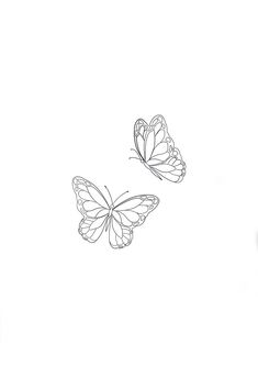 two butterflies flying side by side on a white background