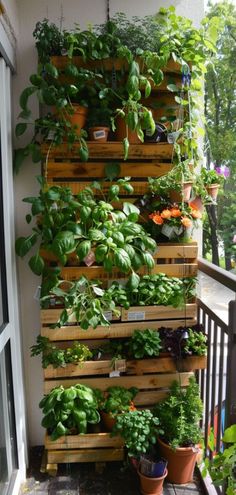 a vertical garden on the side of a building