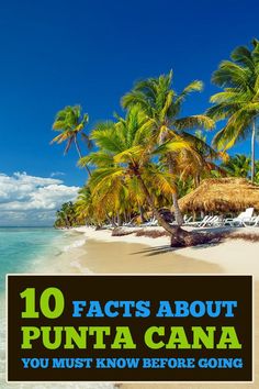 a beach with palm trees and the words 10 fact's about punta cana you must know before going