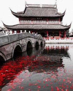 Kolam Koi, Taman Air, Asian Architecture, Chinese Architecture, China Travel, Aang, Beautiful Places To Travel, Asian Style, Pretty Places