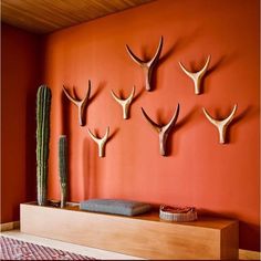 an orange wall with deer antlers mounted on it and a cactus in the corner