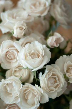 a bunch of white roses in a vase