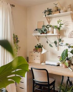 a desk with some plants on top of it and a chair in front of the desk