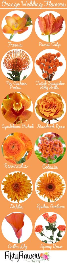 an orange poster with flowers on it and the names of each flower in different languages