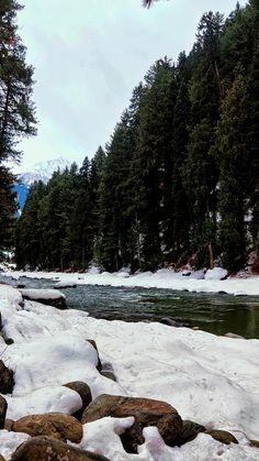 a river running through a forest filled with lots of snow covered ground next to tall pine trees