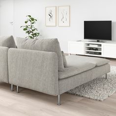 a living room with a couch, television and rugs on the floor in front of it