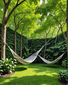 a hammock in the middle of a lush green yard