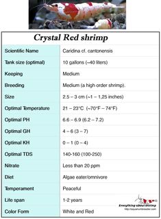 a list of different types of fish in the water with information about their names and colors