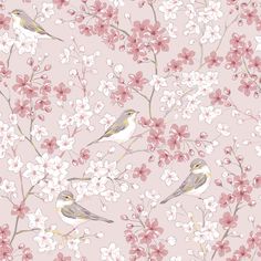 Willow Warbler Bird in Spring Sakura Cherry Blossom Garden Wallpaper Dining Room Mural, Dining Room Murals, Blossom Wallpaper, Cherry Blossom Wallpaper, Romantic Nature, Blossom Garden, Sakura Cherry Blossom, Watercolor Wallpaper, Unique Wallpaper