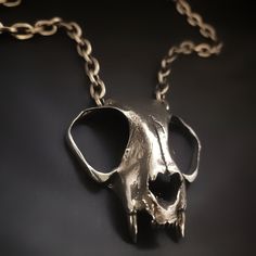 Cat Skull Necklace | Martha Rotten Cat Skull, Skull Necklace, Skull Ring, Accessories Earrings, Ring Necklace, Necklaces Bracelets, Bones, Chain