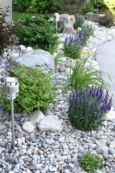 a garden with rocks and plants in it