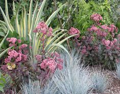 some very pretty flowers and plants in the grass