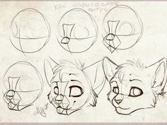 an image of how to draw a cat's head with different angles and expressions