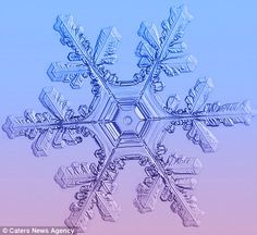 a snowflake is shown in blue and pink