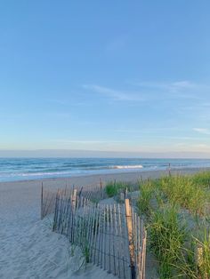 the beach is lined with tall grass and fenced in to the sand, next to the ocean