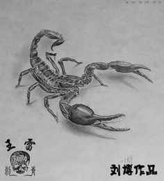 a drawing of a scorpion with chinese writing on the bottom and an image of a man's head