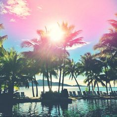 the sun shines brightly through palm trees near a swimming pool in front of an ocean